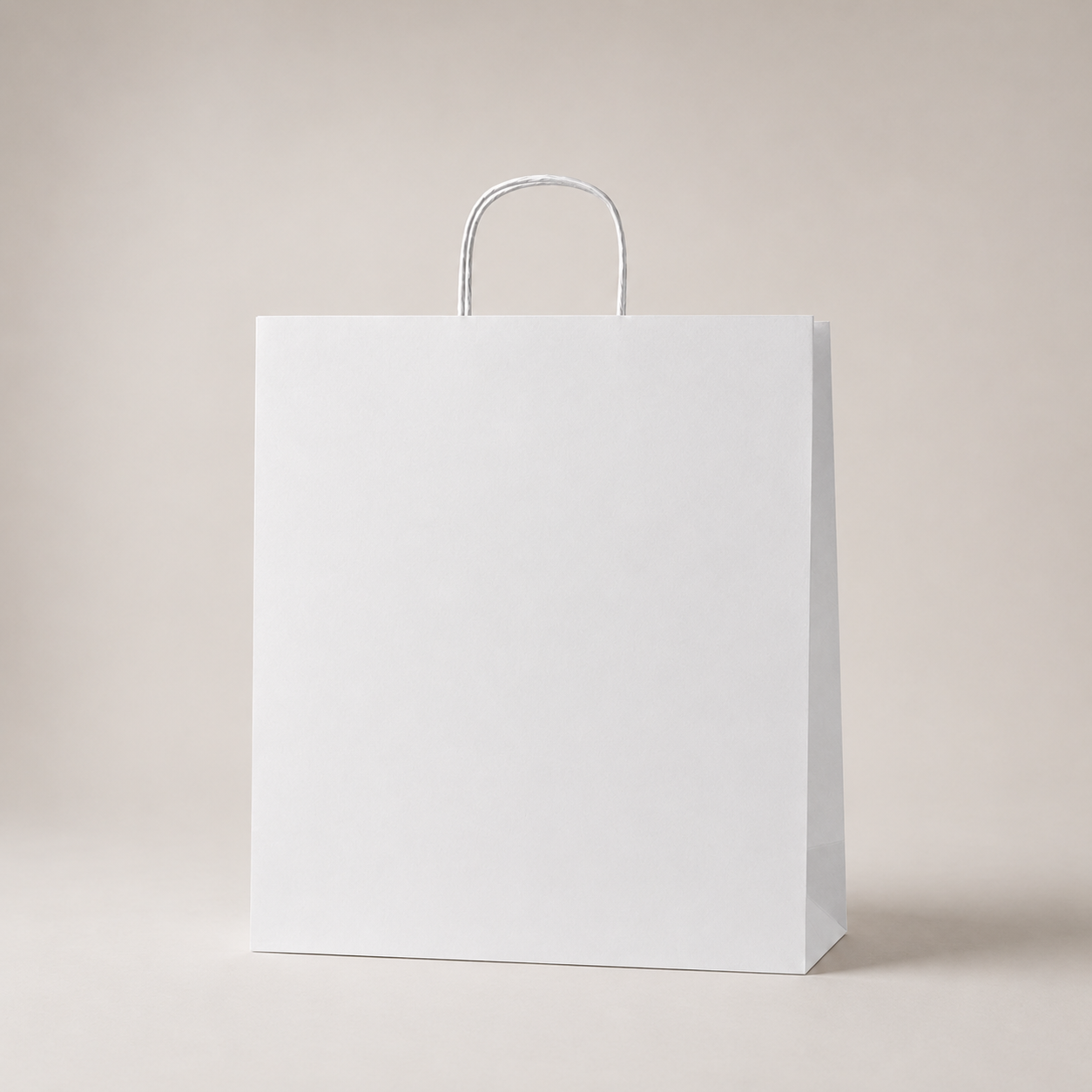 Twisted Handle Paper Bags