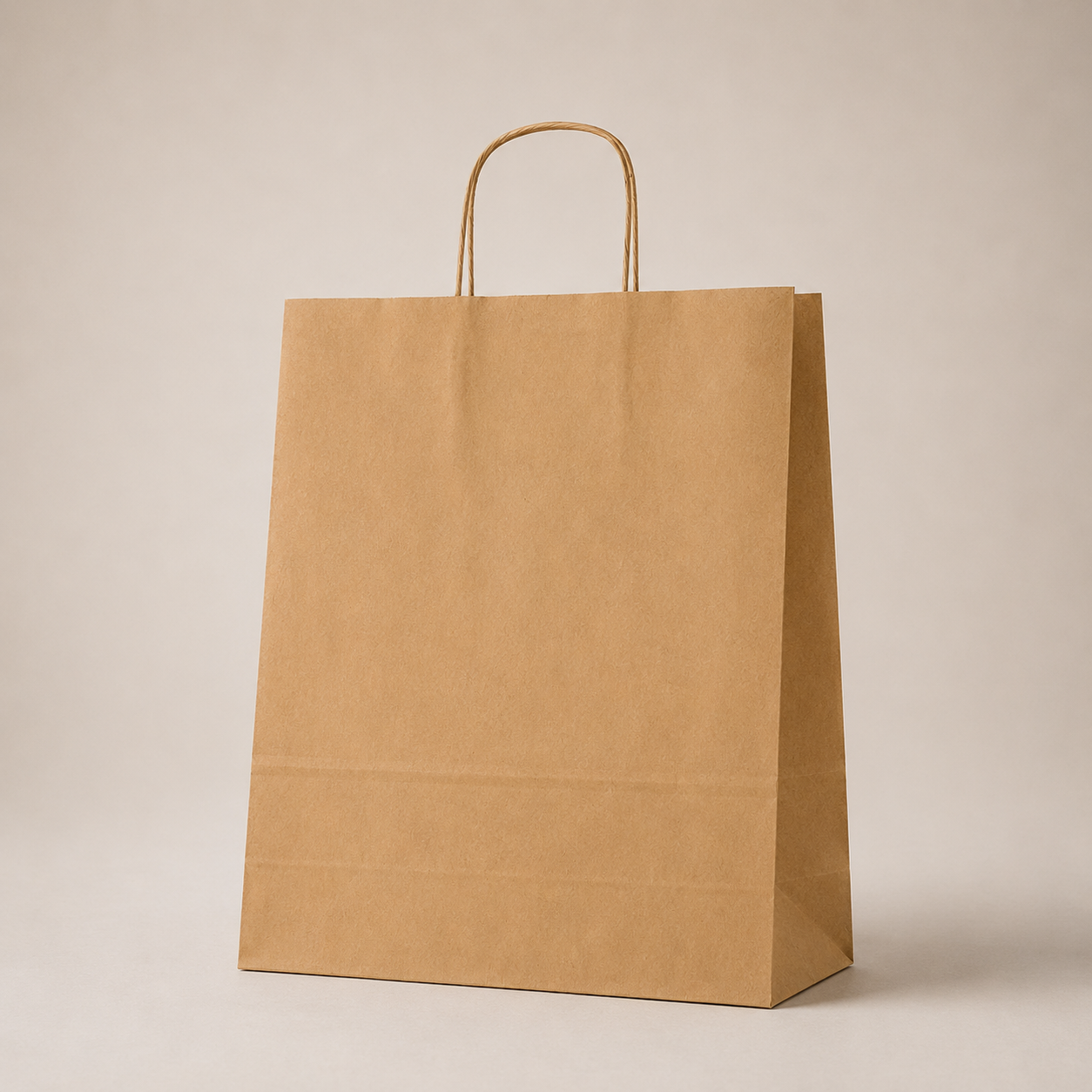 Twisted Handle Paper Bags